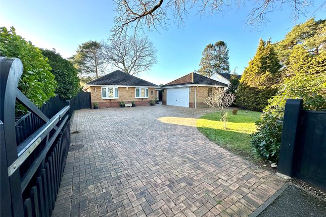 Thumbnail Bungalow for sale in St. Ives End Lane, St. Ives, Ringwood