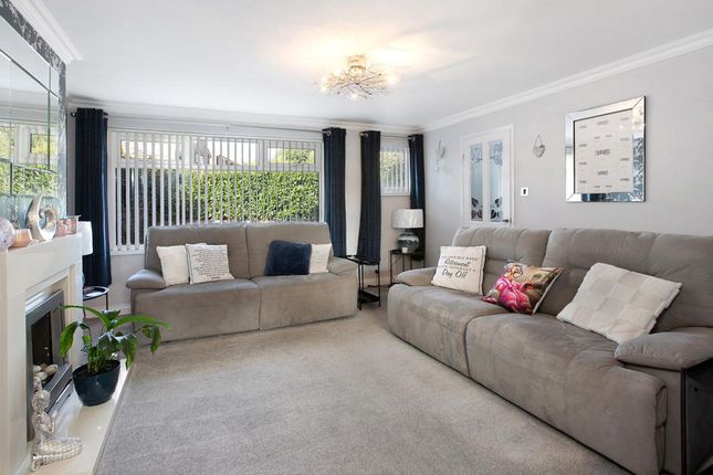 48 Elm Grove Drive, Dawlish photo 3