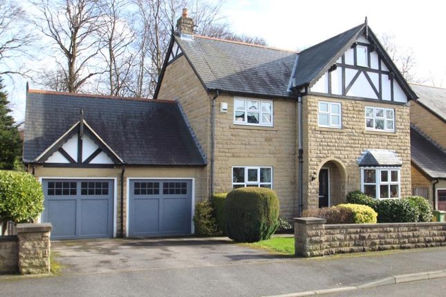 Thumbnail Detached house to rent in Parkwood Avenue, Roundhay, Leeds