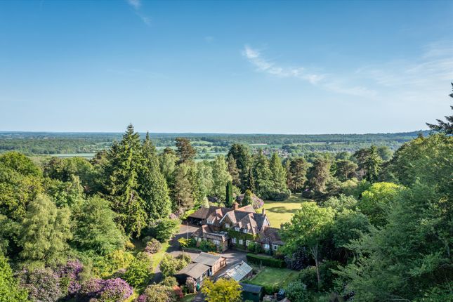 Punchbowl Lane, Dorking photo 4