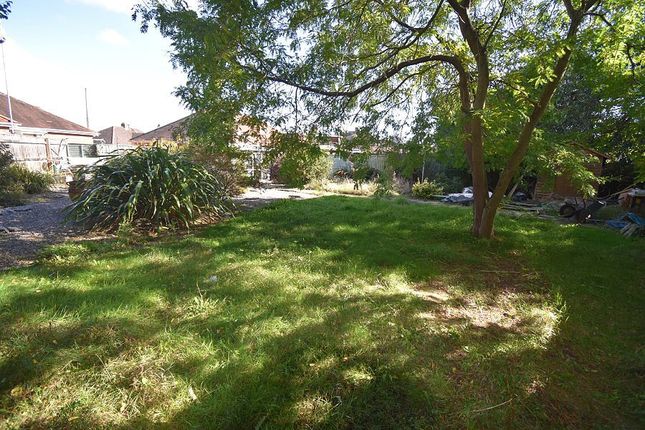 4, Woolsery Grove, Exeter photo 3