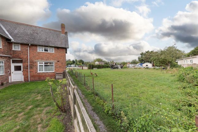 Garden - Paddock.Jpg