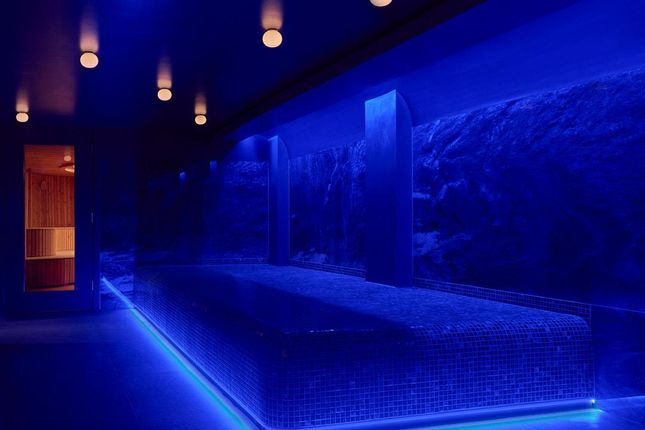 The Sanctuary - Sensorium 3.Jpg