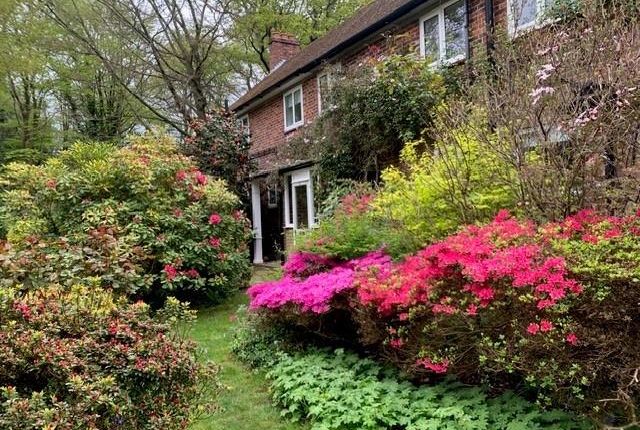 6, Pipers Green Road, Westerham photo 3