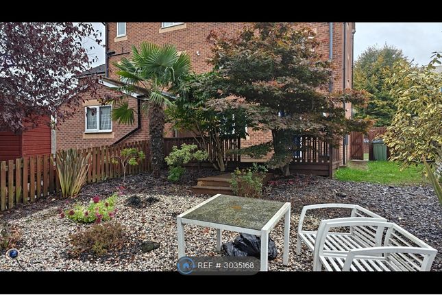 Shirland Lane, Sheffield photo 5