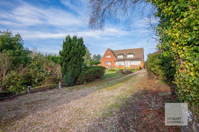Orchard Mead, Ropes Hill, Norwich photo 4