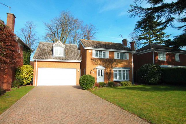 Thumbnail Detached house to rent in Falmouth Gardens, Newmarket