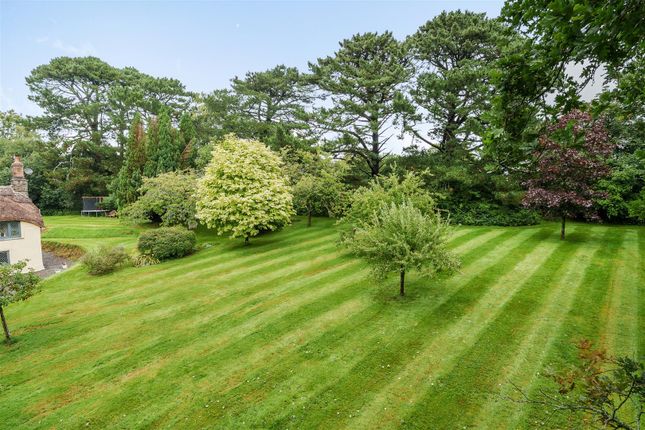 Strawberry Cottage, Tiverton photo 2