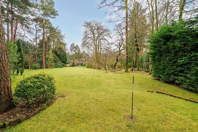 Detached house for sale in Headley Road, Grayshott, Hindhead