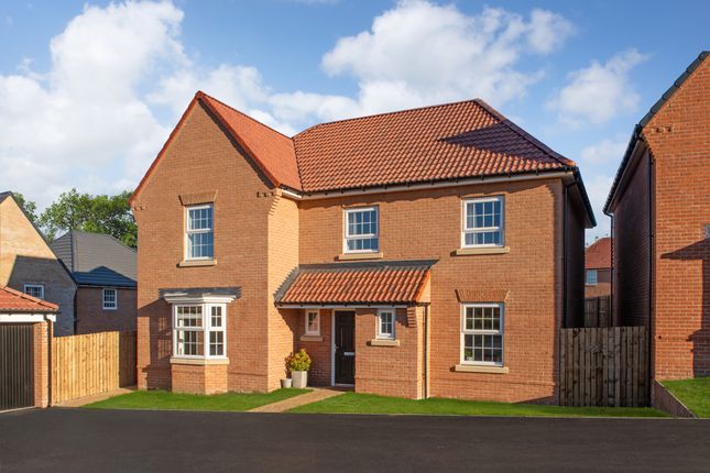 Thumbnail Detached house for sale in "Manning" at Lodgeside Meadow, Sunderland