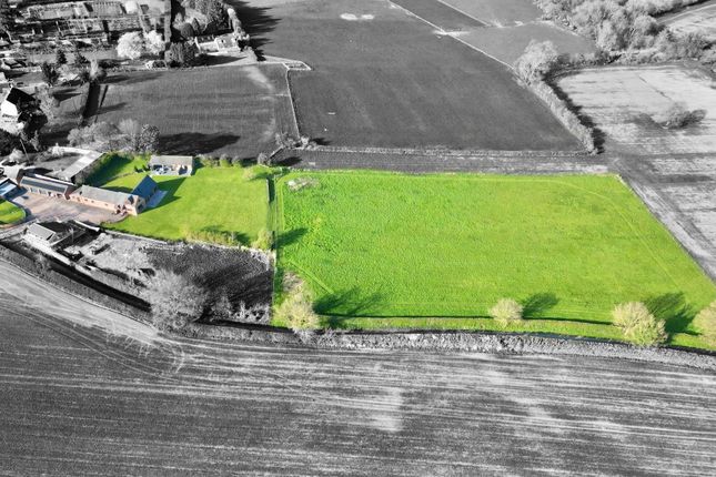 Masefield, Market Drayton photo 4