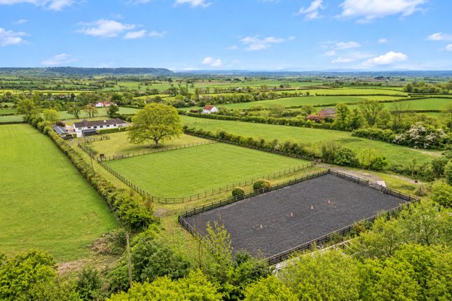Pedwell Hill, Somerset photo 3