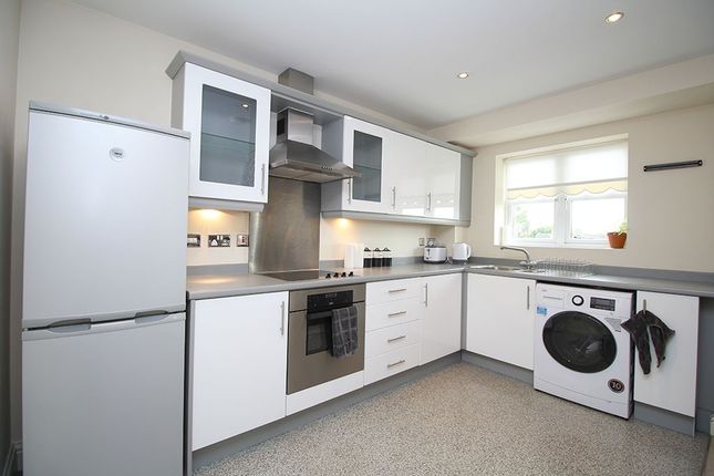 Kitchen (Main)
