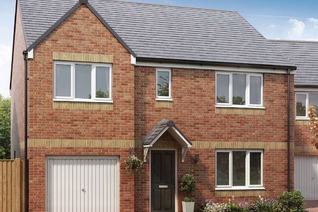 Thumbnail Detached house for sale in "The Thornton" at East Calder, Livingston