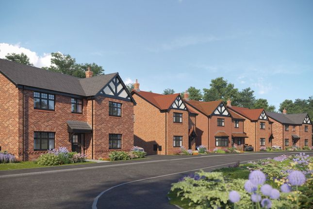 Hobbs, Oakwood, Stoke Golding ,Hobbs plot 38, Wykin Lane, Nuneaton photo 3