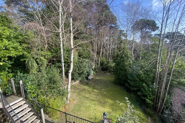 Crichel Mount Road, Poole photo 3