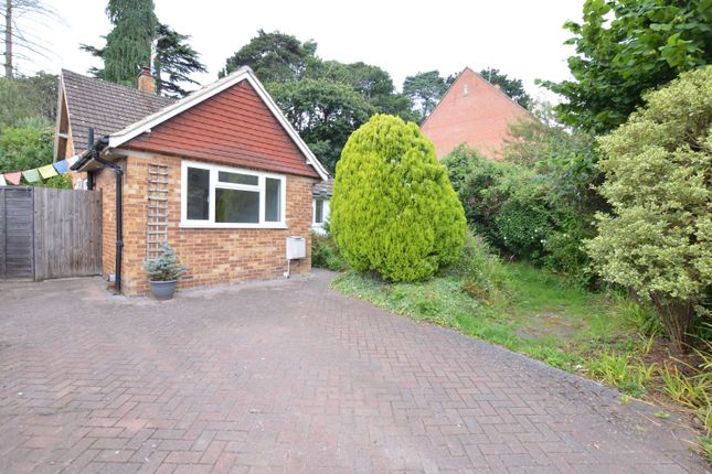 Thumbnail Detached bungalow to rent in Sandy Lane, Woking