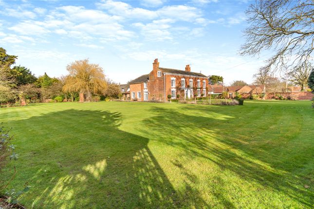 Grounds