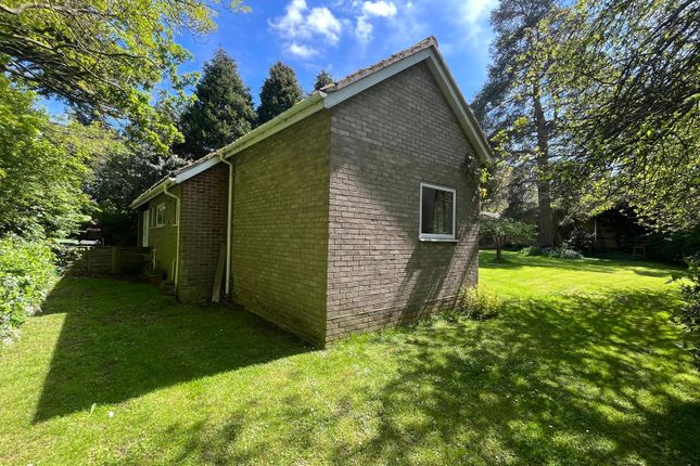 Detached bungalow to rent in Mulbarton, Norwich