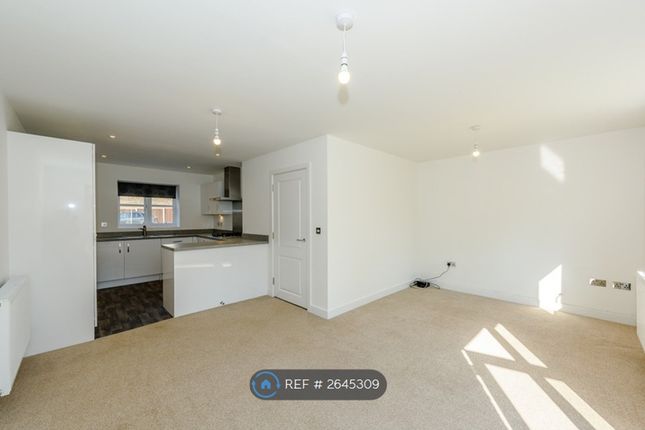 Ground Floor - Kitchen &amp; Living Room