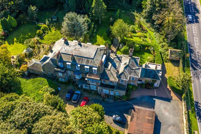 Cricket-01_50398741212_O (1).Jpg