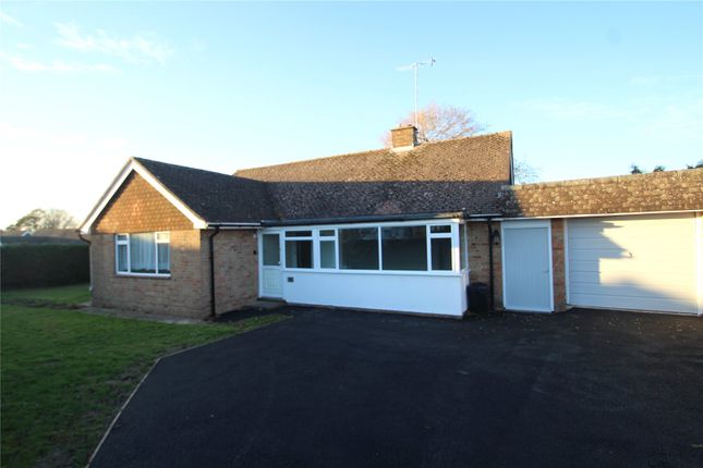 Thumbnail Bungalow to rent in Mill Road Avenue, Angmering, Littlehampton
