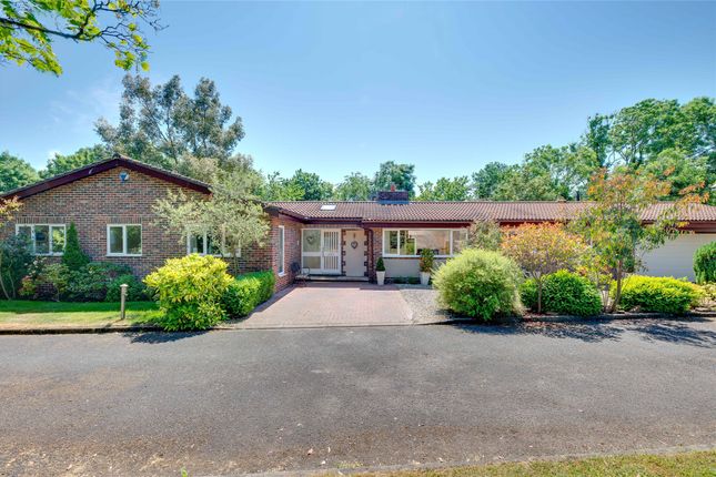 Thumbnail Bungalow for sale in Sugley Drive, Newcastle Upon Tyne