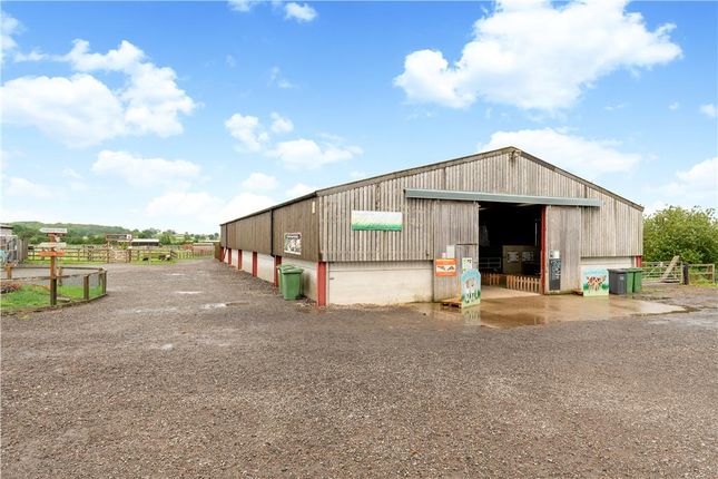 Commercial Property For Sale In Green Dragon Rare Breeds Farm