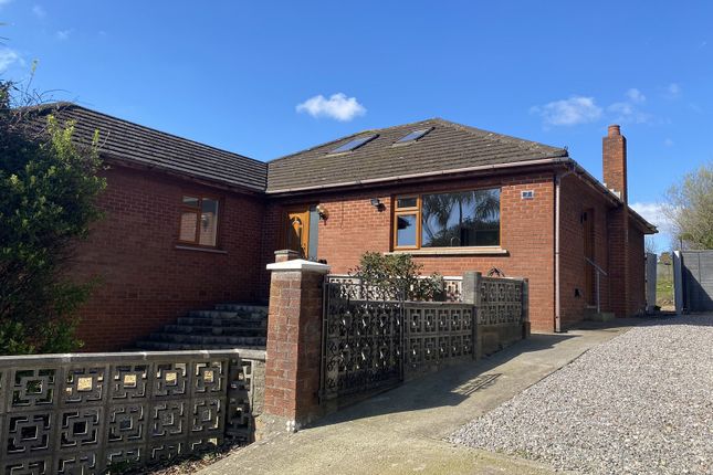 Thumbnail Detached bungalow to rent in Brombil Court, Margam, Port Talbot, Neath Port Talbot.