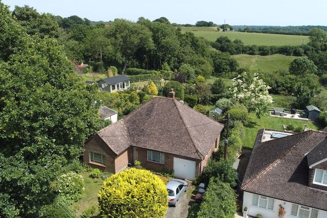 Image of Minerva, Limes Lane, Buxted, Uckfield, TN22 4PA