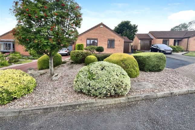 3, Chatsworth Court, Ilkeston photo 2