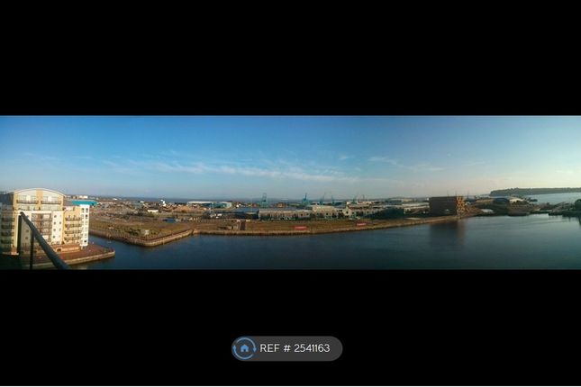 Panoramic View