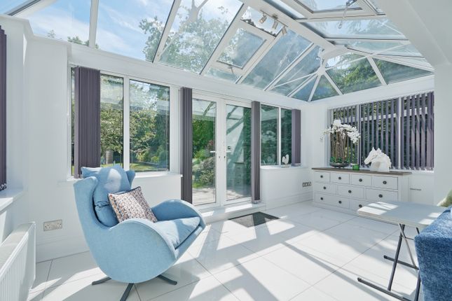 Kitchen-Dining Room-Family Room