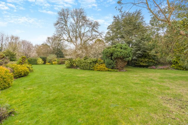 Detached house for sale in Amwell Lane, Wheathampstead, St. Albans, Hertfordshire
