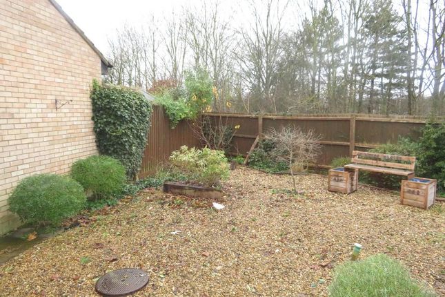 34, Squires Gate, Peterborough photo 4