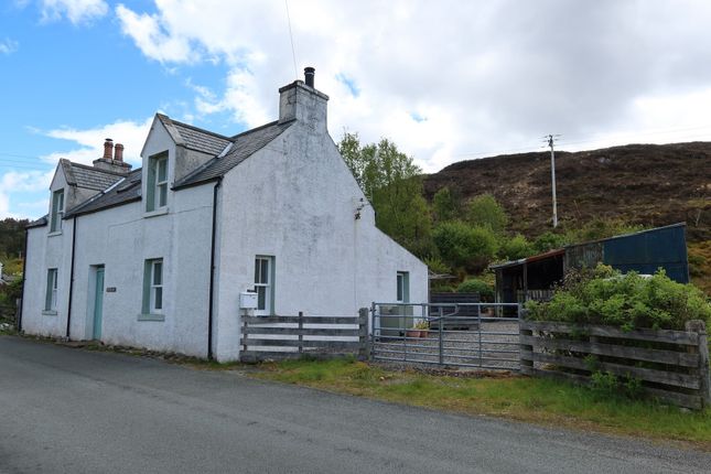 Drumfearn, Kyle photo 3