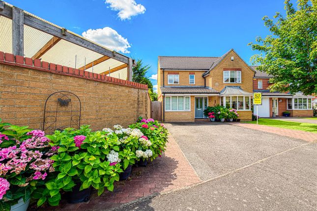 8, Beauchamps, Burnham-On-Crouch photo 2