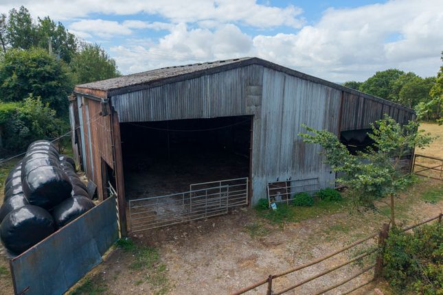 Westworthy Barns, North Tawton, North Tawton photo 3