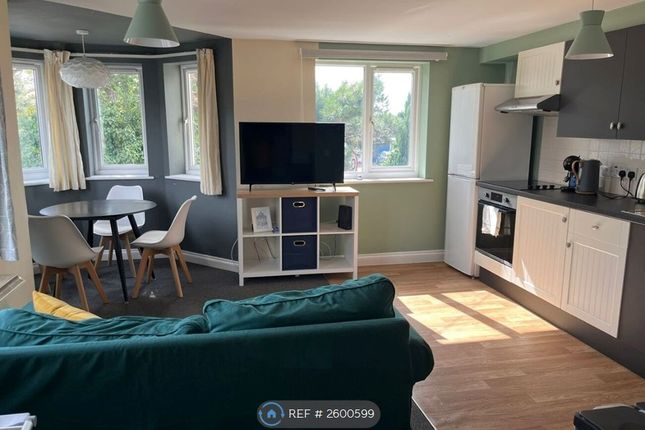 Kitchen Lounge