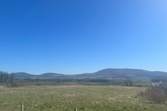 Land for sale in Archiestown, Moray