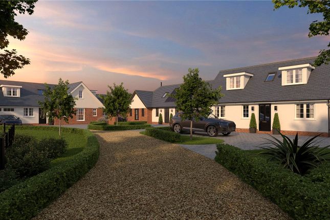 The Elm,, Meadow View, Elmswell photo 3