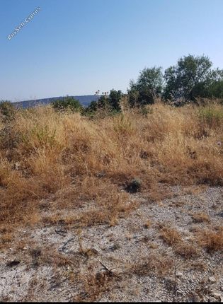 Land for sale in Agios Therapon, Limassol, Cyprus