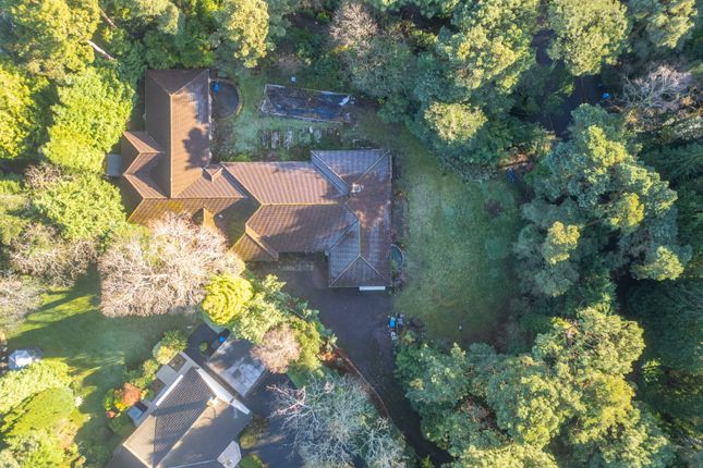 Thumbnail Bungalow for sale in Western Avenue, Branksome Park, Poole, Dorset