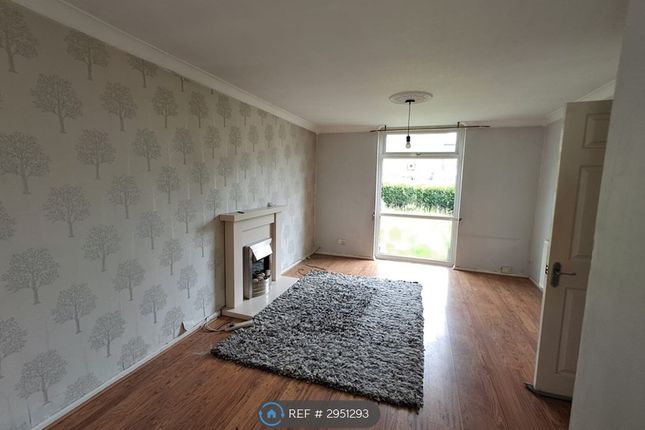 Turton Grove, Burnley photo 4