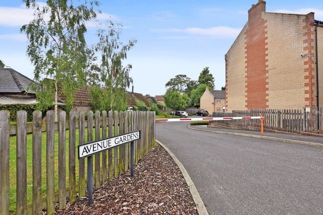 11 Avenue Gardens, Thetford photo 2