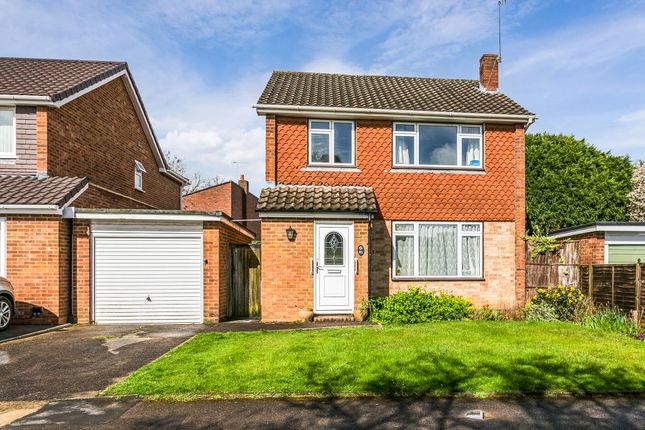 Thumbnail Detached house for sale in Webster Close, Maidenhead