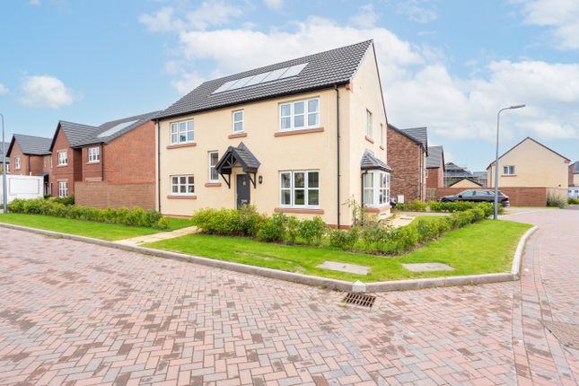 Thumbnail Detached house for sale in Bluebell Way, Dumfries