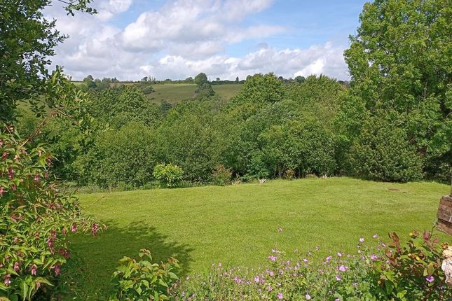 Views From Holiday Cottage
