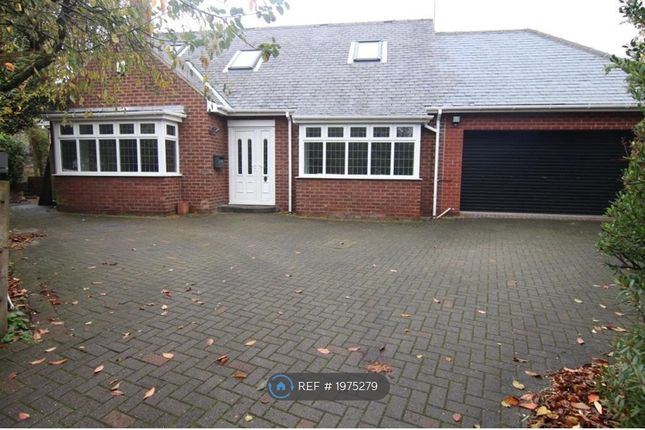 Thumbnail Detached house to rent in Springwell Road, Durham