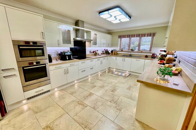101 Rhyddwen Road, Swansea photo 4